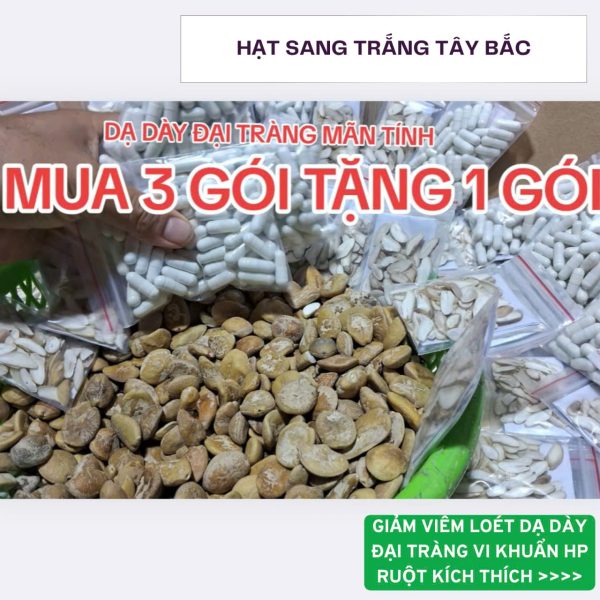 hạt sang trắng